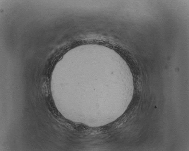 X0000073451493200608251652