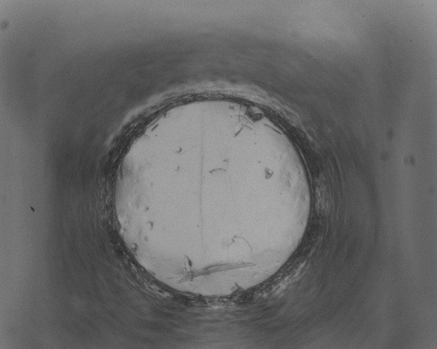 X0000073451494200608251652