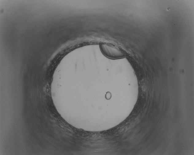 X0000073451495200608251652