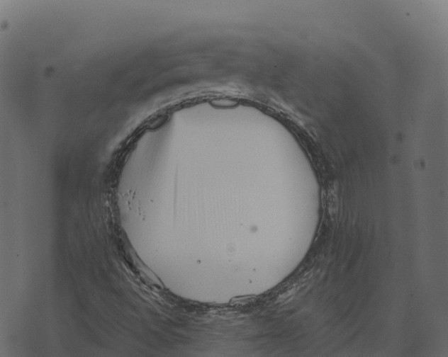 X0000073451496200608251652