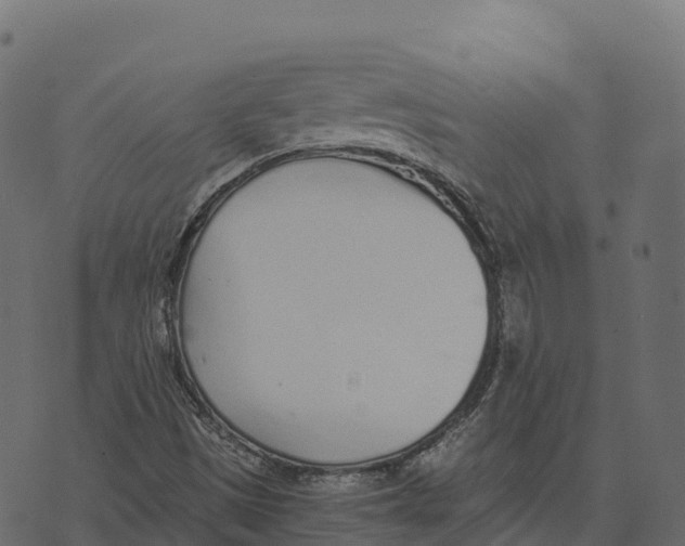 X0000073451497200608251652