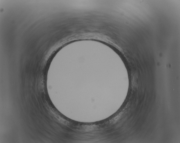 X0000073451498200608251652