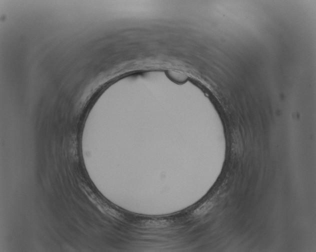 X0000073451499200608251652