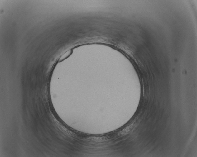 X0000073451500200608251652