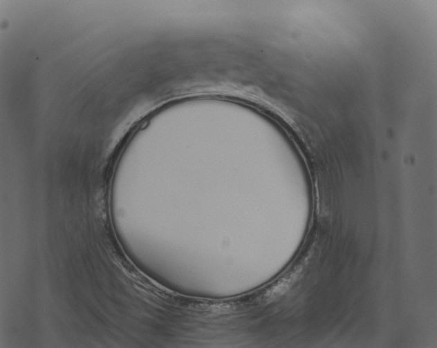 X0000073451501200608251652