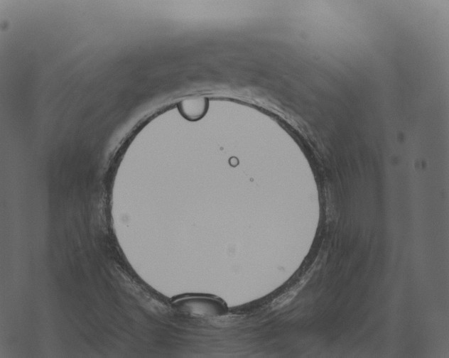 X0000073451502200608251652