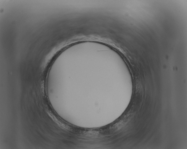 X0000073451503200608251652