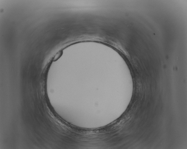 X0000073451504200608251652