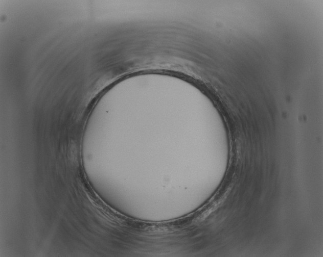 X0000073451505200608251653