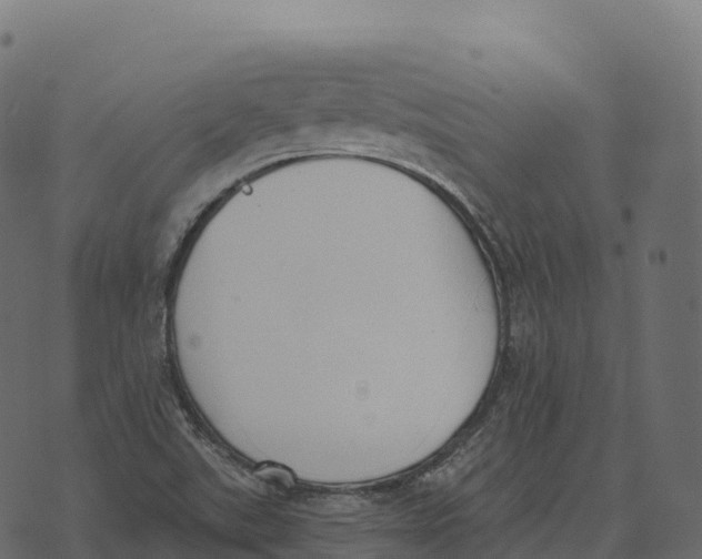 X0000073451507200608251653