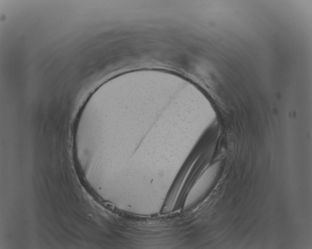 X0000073451508200608251653