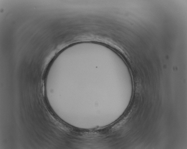 X0000073451509200608251653