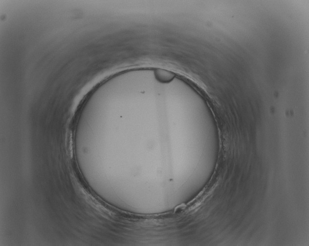 X0000073451510200608251653