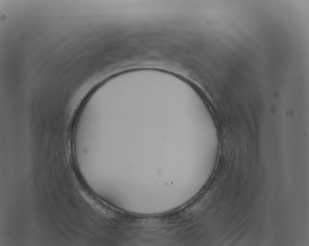 X0000073451511200608251653