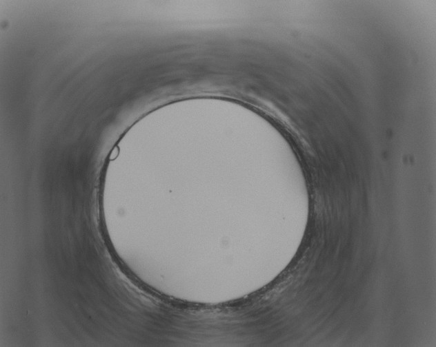 X0000073451512200608251653