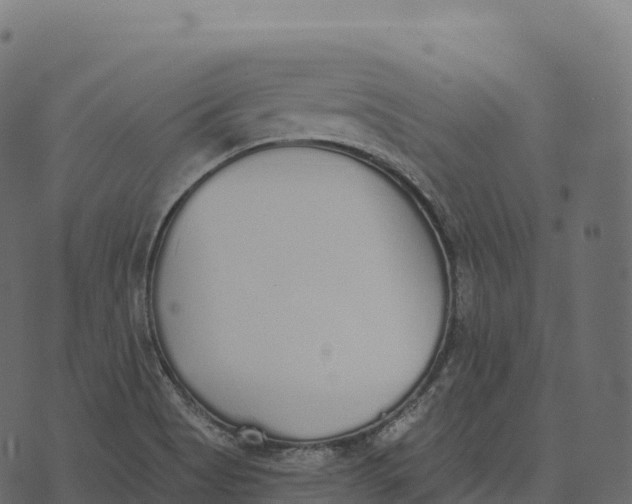 X0000073451513200608251653