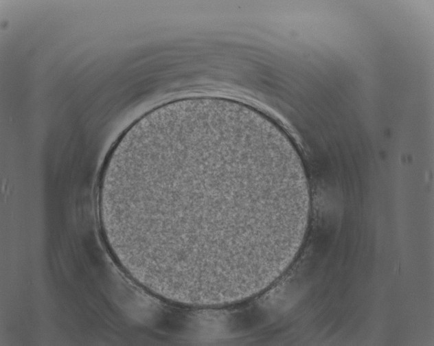 X0000073451514200608251653