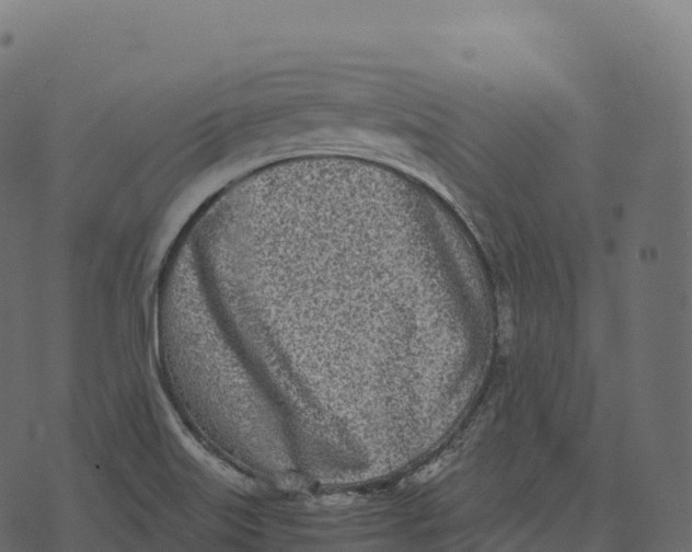 X0000073451515200608251653