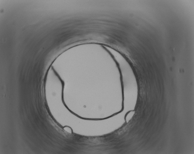 X0000073451516200608251653