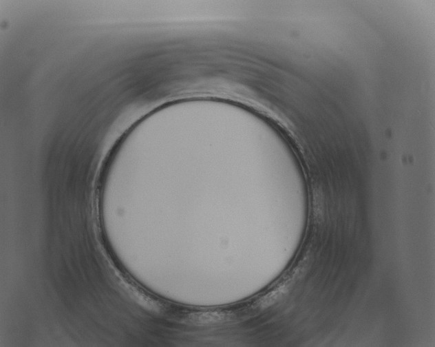 X0000073451517200608251653