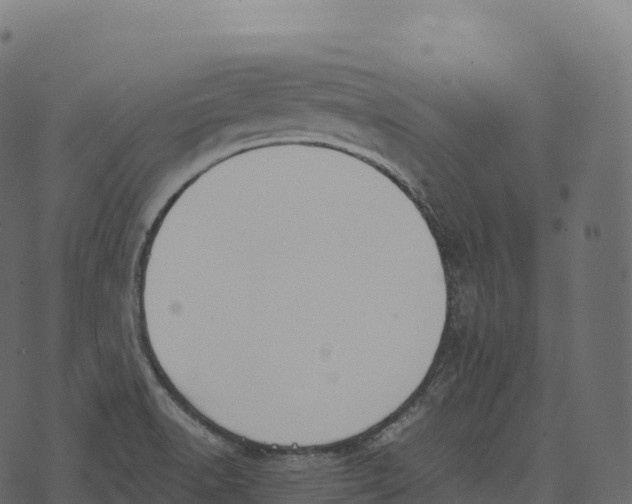 X0000073451518200608251653