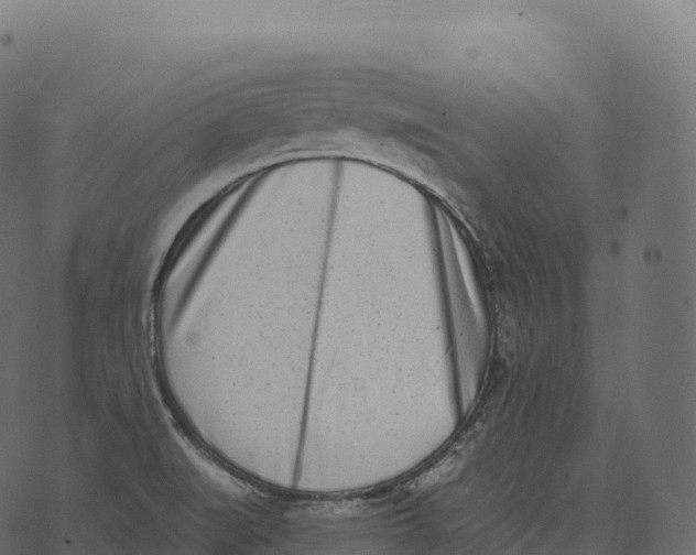 X0000073451519200608251653