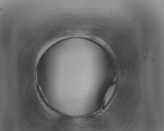 X0000073451520200608251653