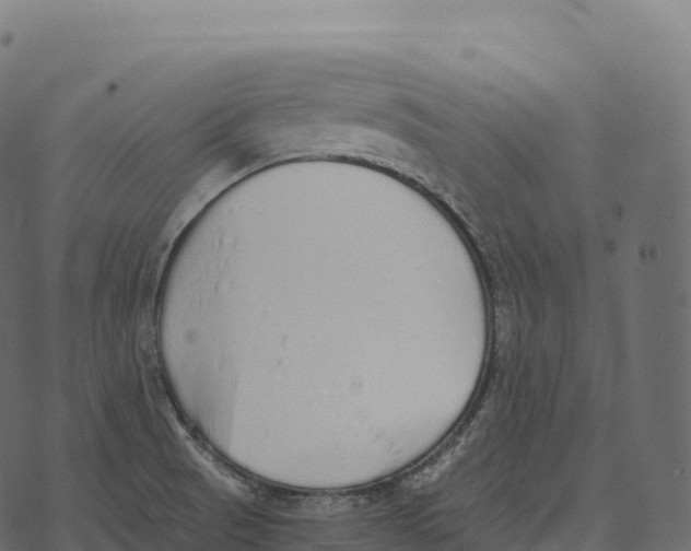 X0000073451521200608251653