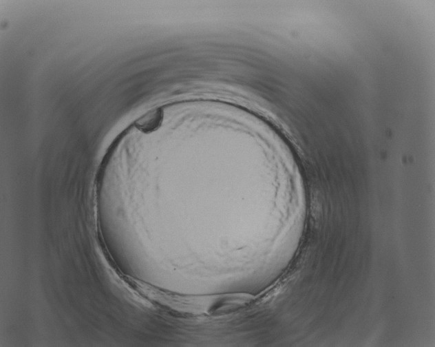 X0000073451522200608251653