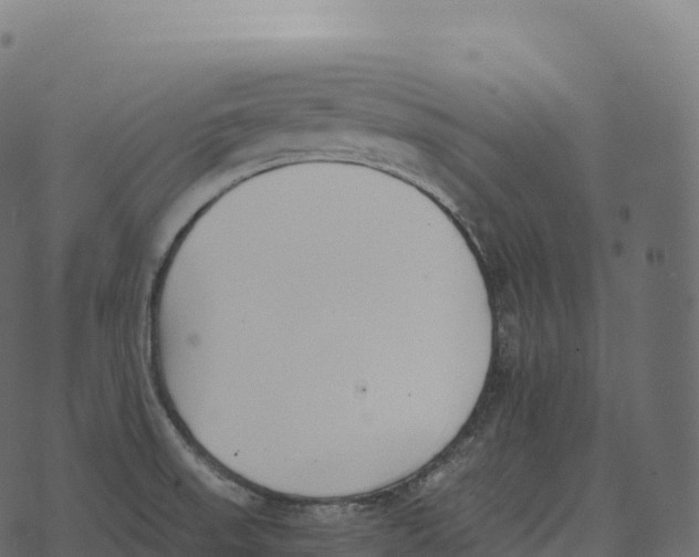 X0000073451523200608251653