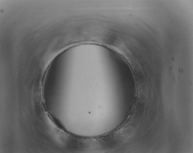 X0000073451524200608251653