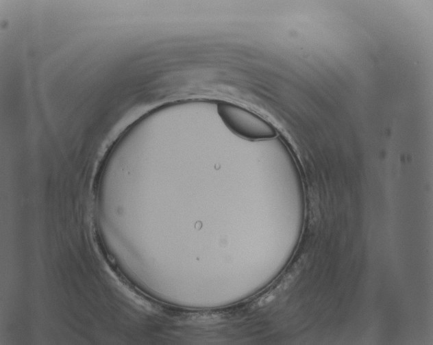 X0000073451525200608251653