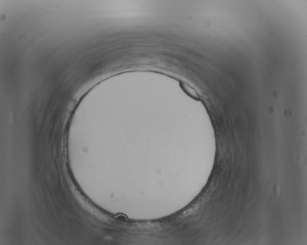 X0000073451526200608251653