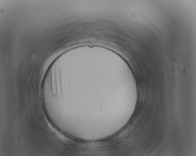 X0000073451527200608251653