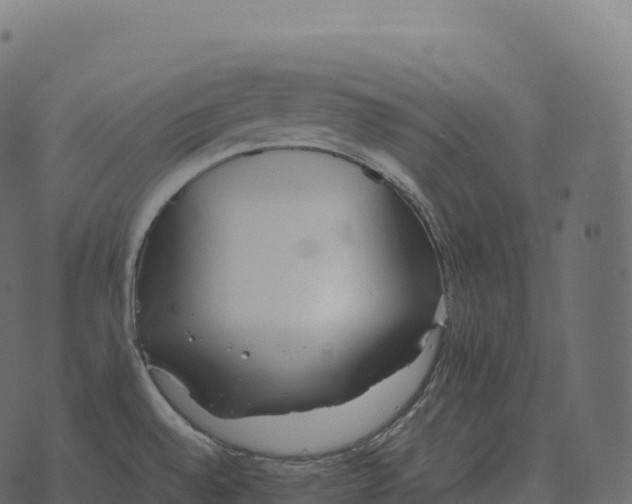 X0000073451528200608251653