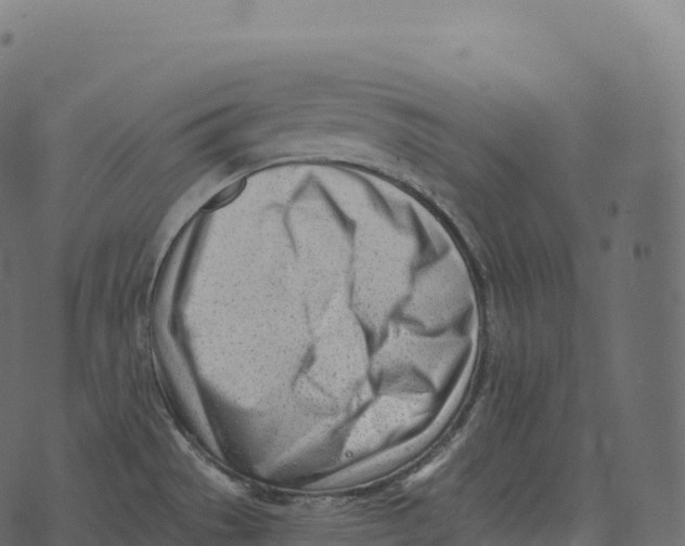 X0000073451529200608251653