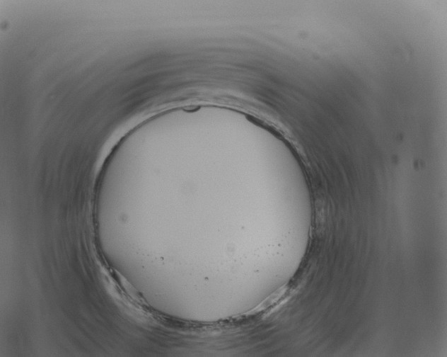 X0000073451530200608251653