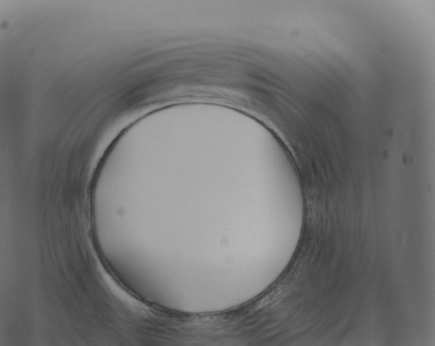 X0000073451531200608251653