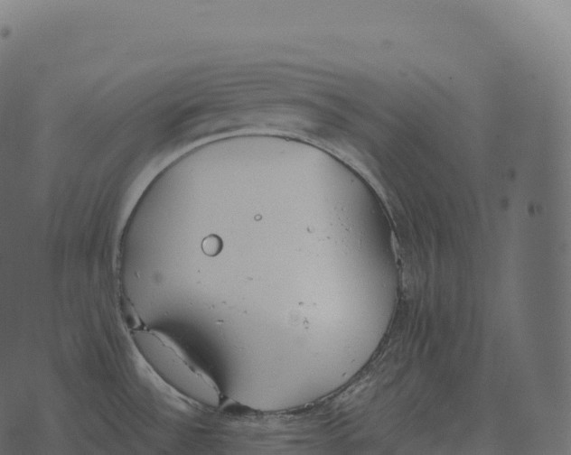 X0000073451532200608251653