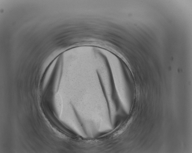 X0000073451533200608251653