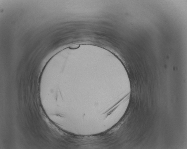 X0000073451534200608251653