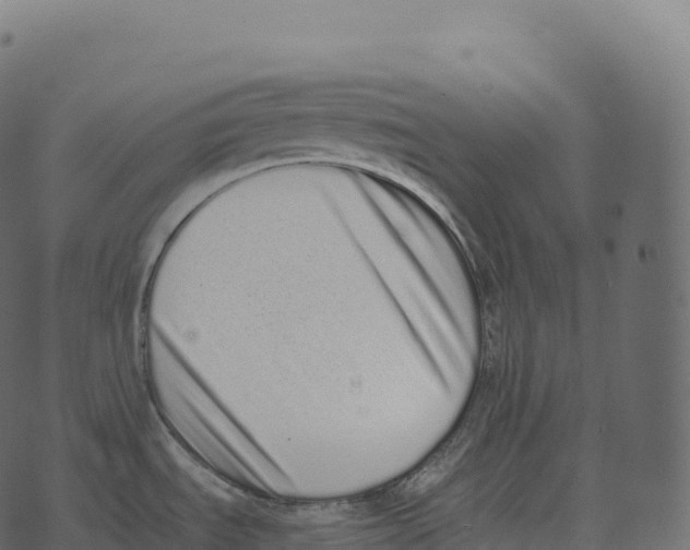 X0000073451535200608251653