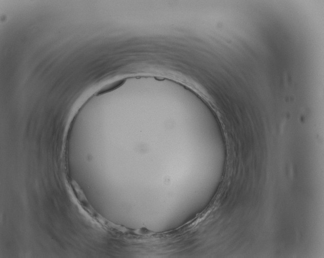 X0000073451536200608251653