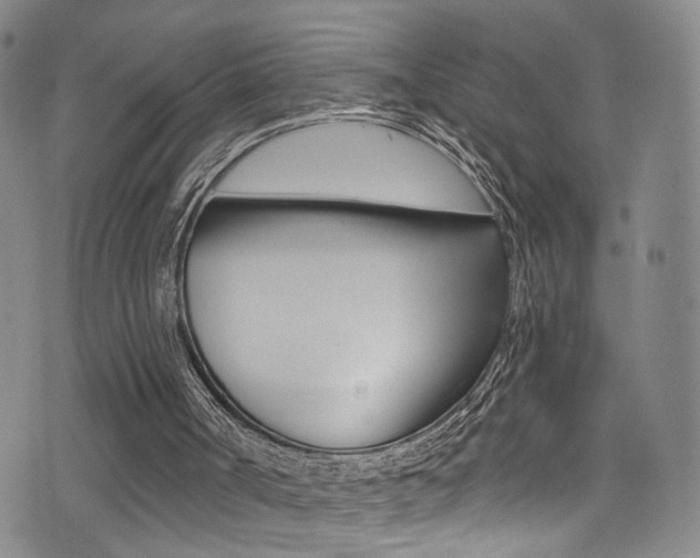 X0000073460002200607281043