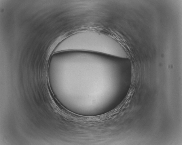 X0000073460003200607281043