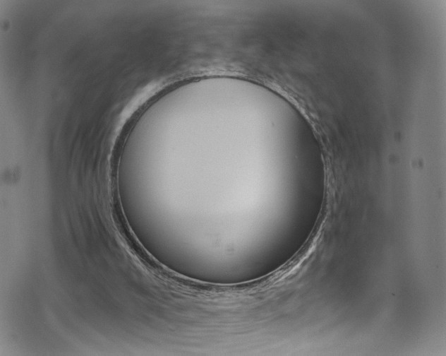 X0000073460008200607281043