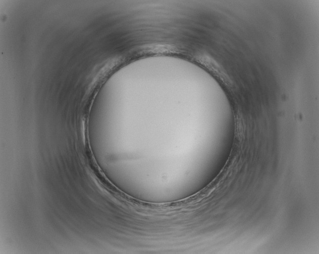 X0000073460014200607281042