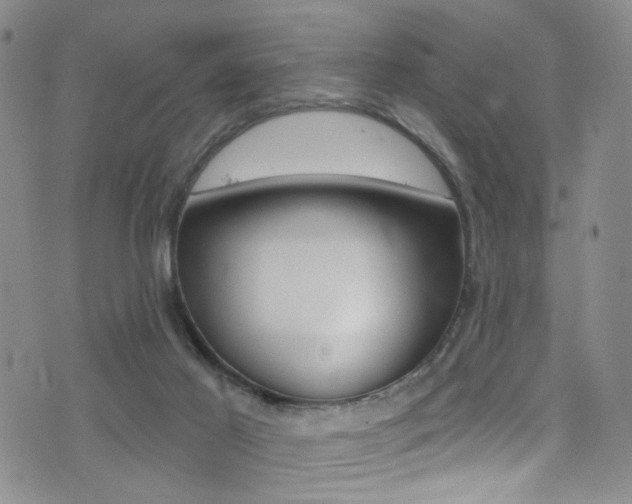 X0000073460021200607281042