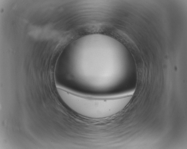 X0000073460035200607281042