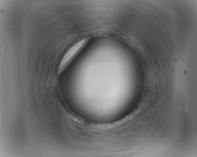 X0000073460037200607281042